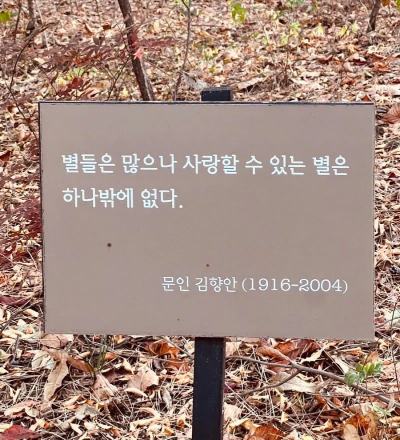 SE-A0C75D34-11BA-4D2F-A986-17CF9645281B.jpg?type=w800