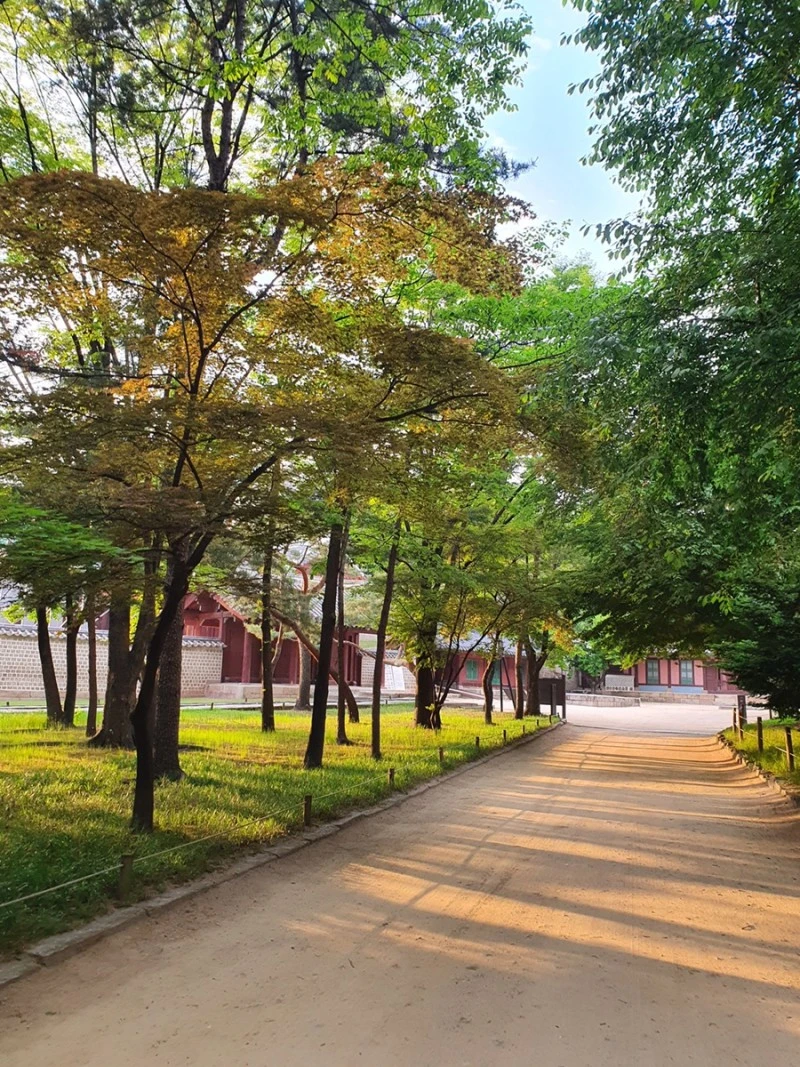 IMG_0886.JPG?type=w800