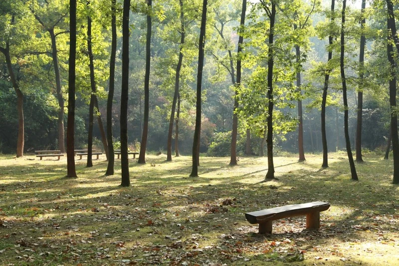 g82bc06184bb60d54a23ad95a35d1748c20aba98594c0898471465337287f51ffb6921aa27c9.jpg?type=w800