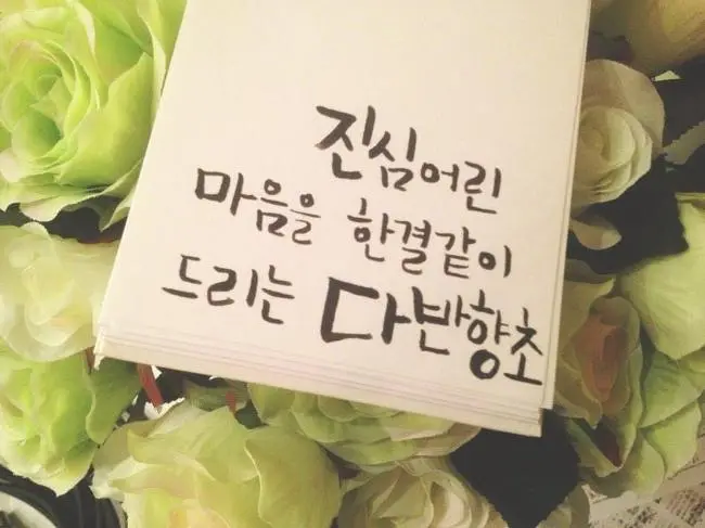 253CE749548DB6DF2D2837