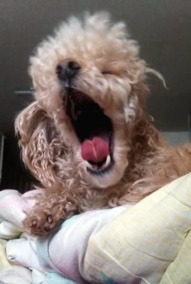 %C7%CF%C7%B02.jpg?type=w2