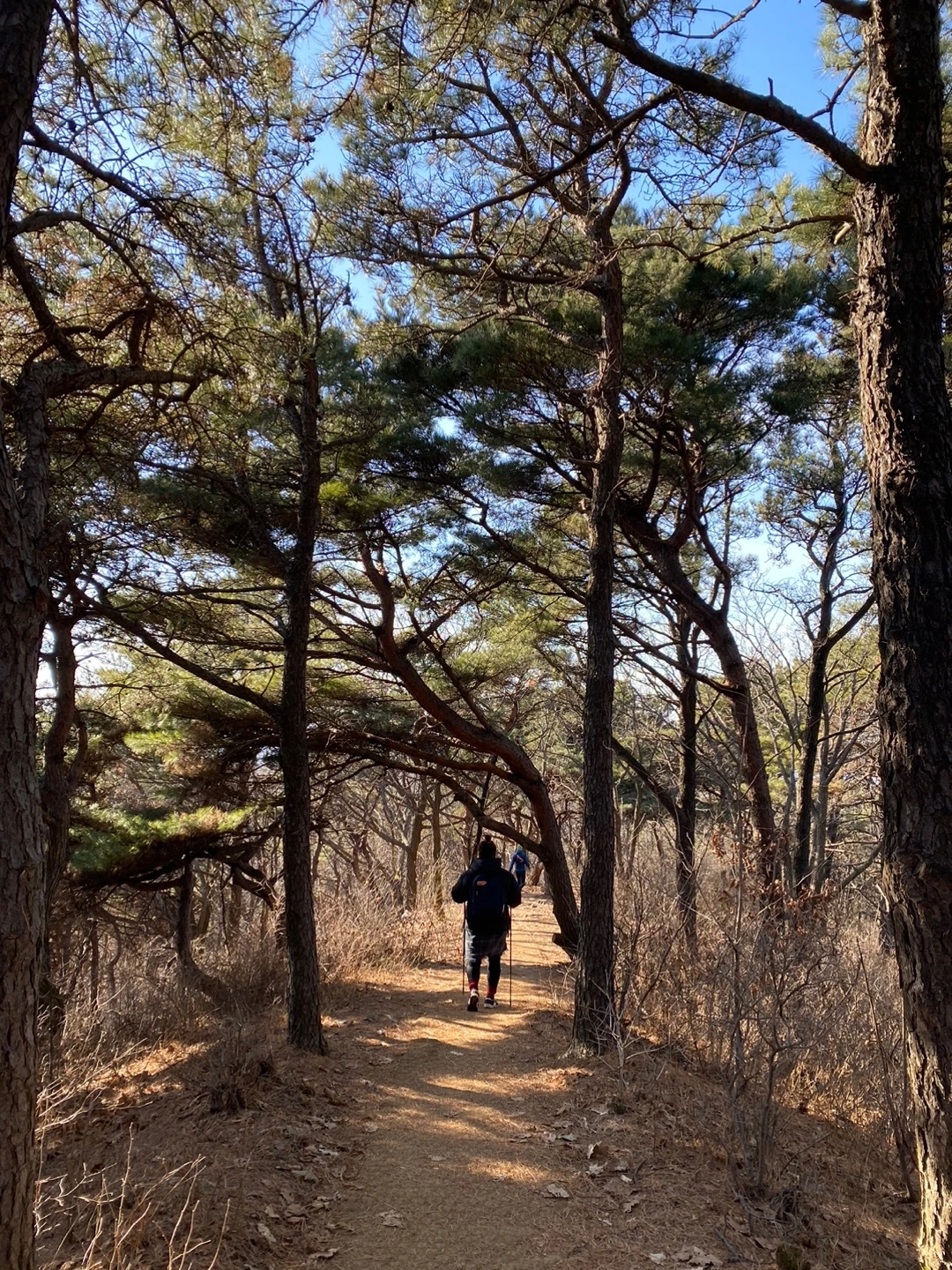 KakaoTalk_Photo_2024-01-15-13-48-22 001jpeg.jpeg