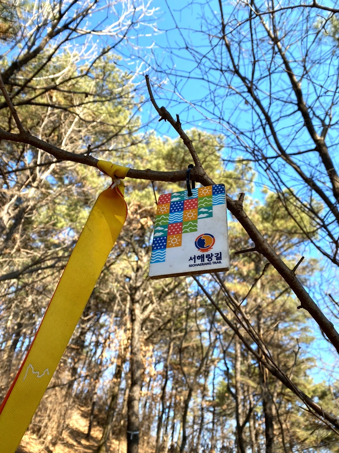 KakaoTalk_Photo_2024-01-15-13-48-23 004jpeg.jpeg