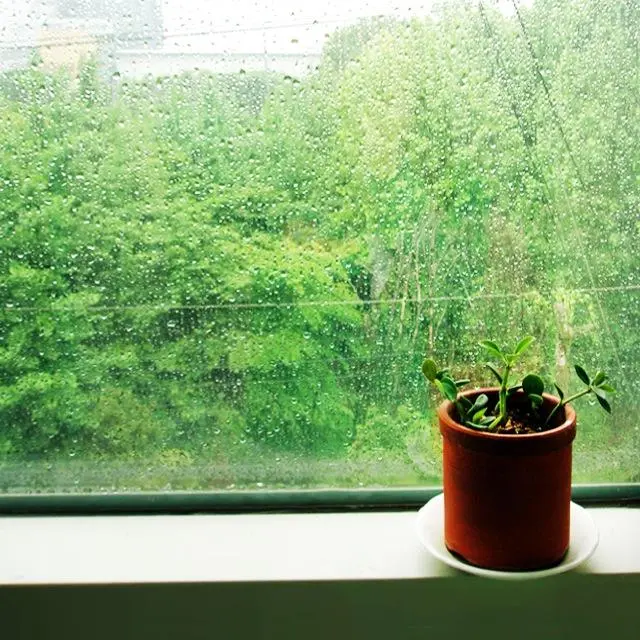 1437314296297.jpeg?type=w2