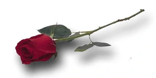 %C4%B8%C3%B3_2015_11_29_20_41_38_591.png?type=w2