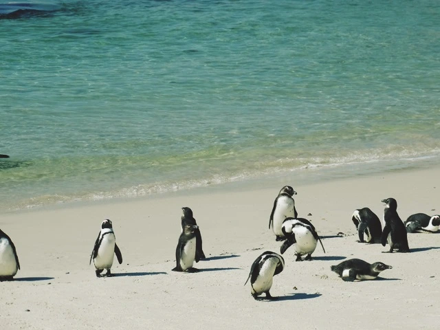 시간이 약이라면.jpg