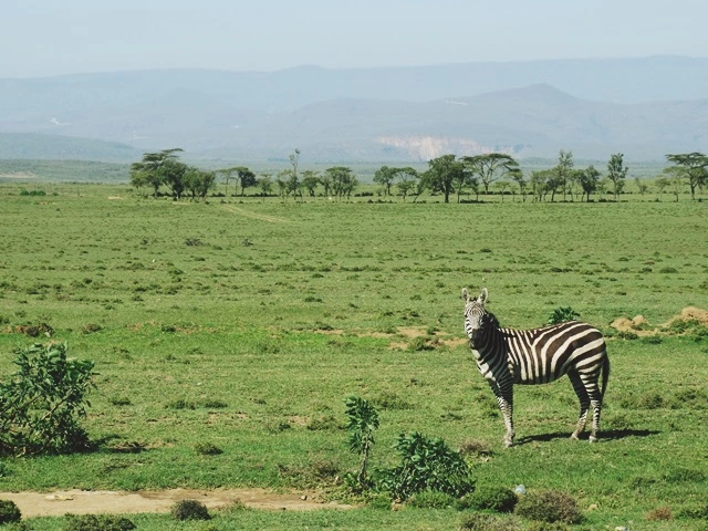 애정결핍의 진짜 의미.jpg
