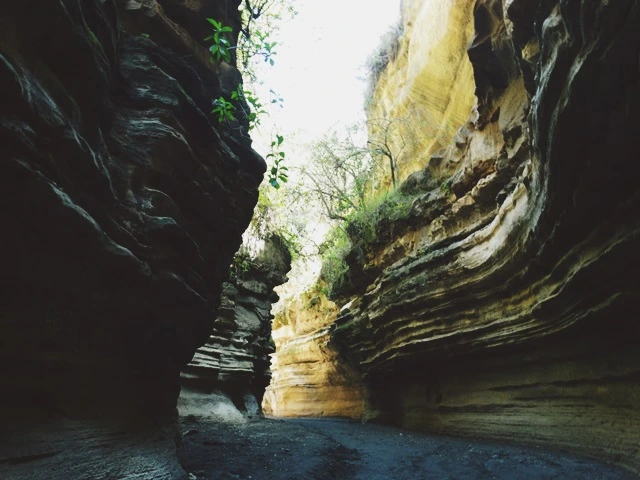 꿈은 왜 꿈일까.jpg