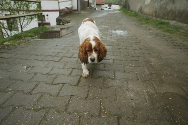 참을 수 없는 간지러움 때문에.jpg