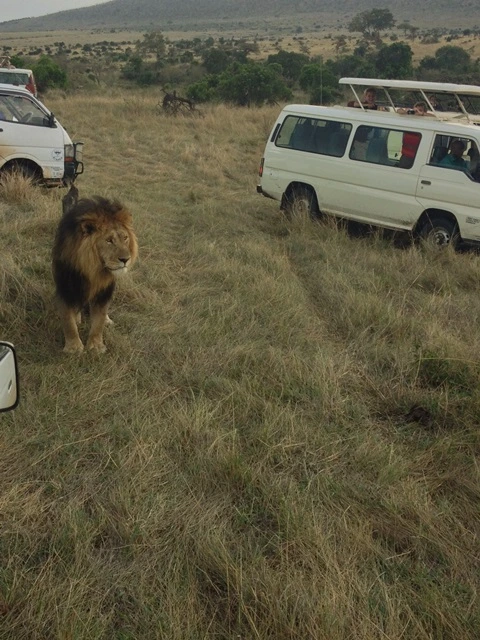 힘듦의 얼굴.jpg