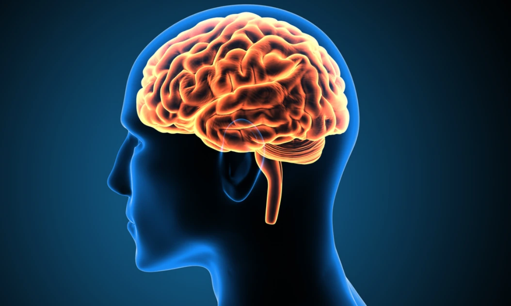 file_path_host?token=oaHDc0tpocwFPlCC7NQpqnmdnn0%2BmuaO19v0oant00jN%2Bctq0s0LgGdMMBSY4gOPRbBgTNCCfe7AXIov8oCYFNUqC0kF1sAeM%2F%2FSbt7rPDA%3D--1Zrpa9sk0i4JMnWv--O50IFAOL8UP4EwojfROgyg%3D%3D