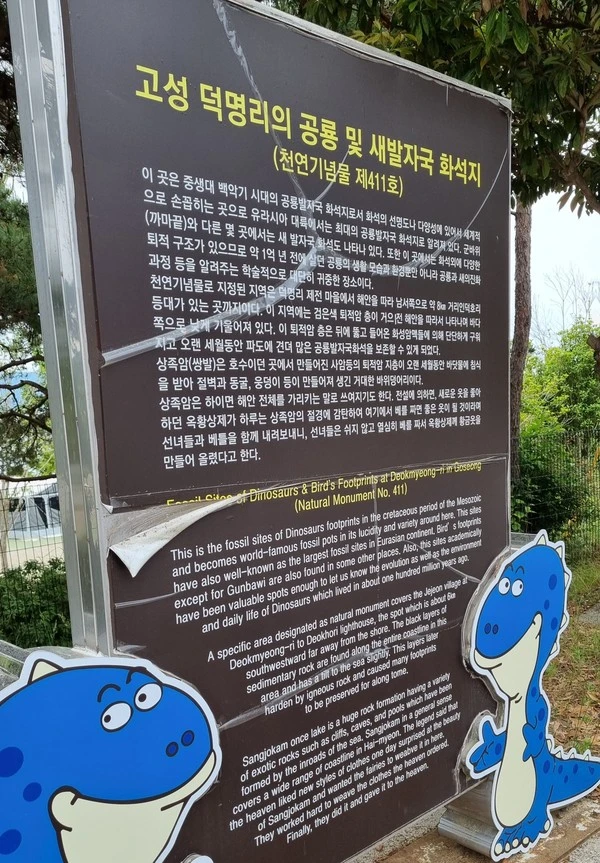 SE-d437cba9-53c8-4799-bb11-b5037a0c411d.jpg?type=w1600