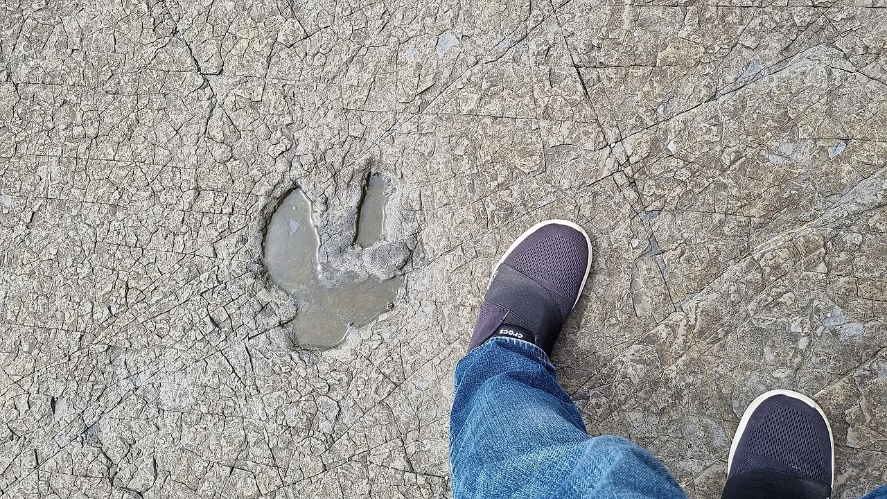 20220530_102353.jpg?type=w1600