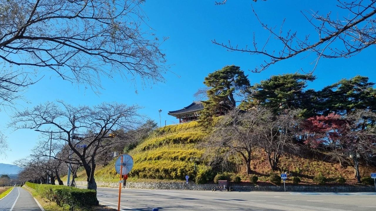 20231204%EF%BC%BF103435.jpg?type=w1600