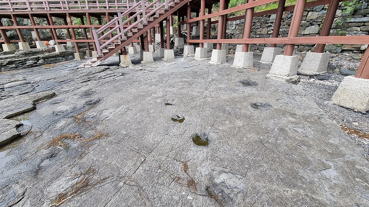 20220530_102437.jpg?type=w1600