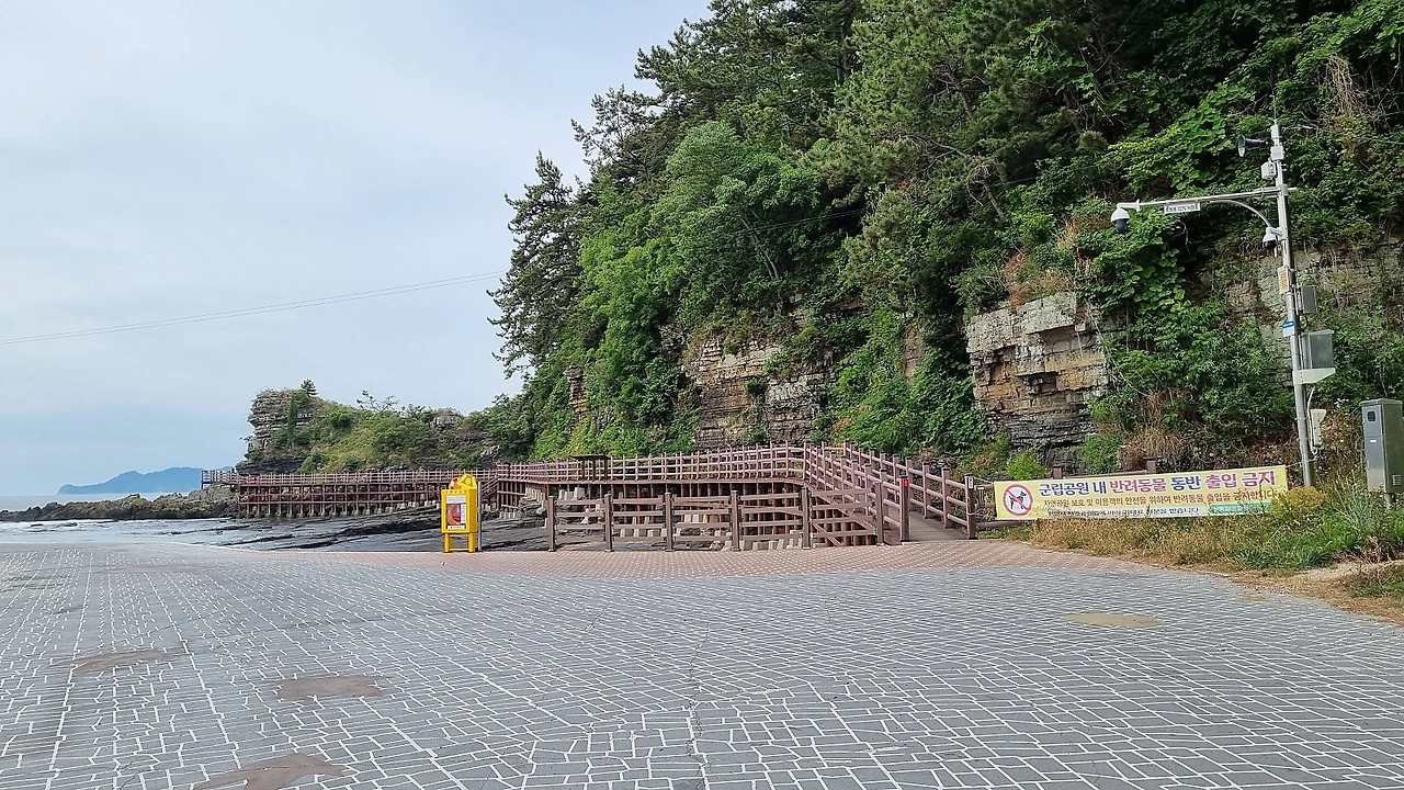 20220530_101807.jpg?type=w1600