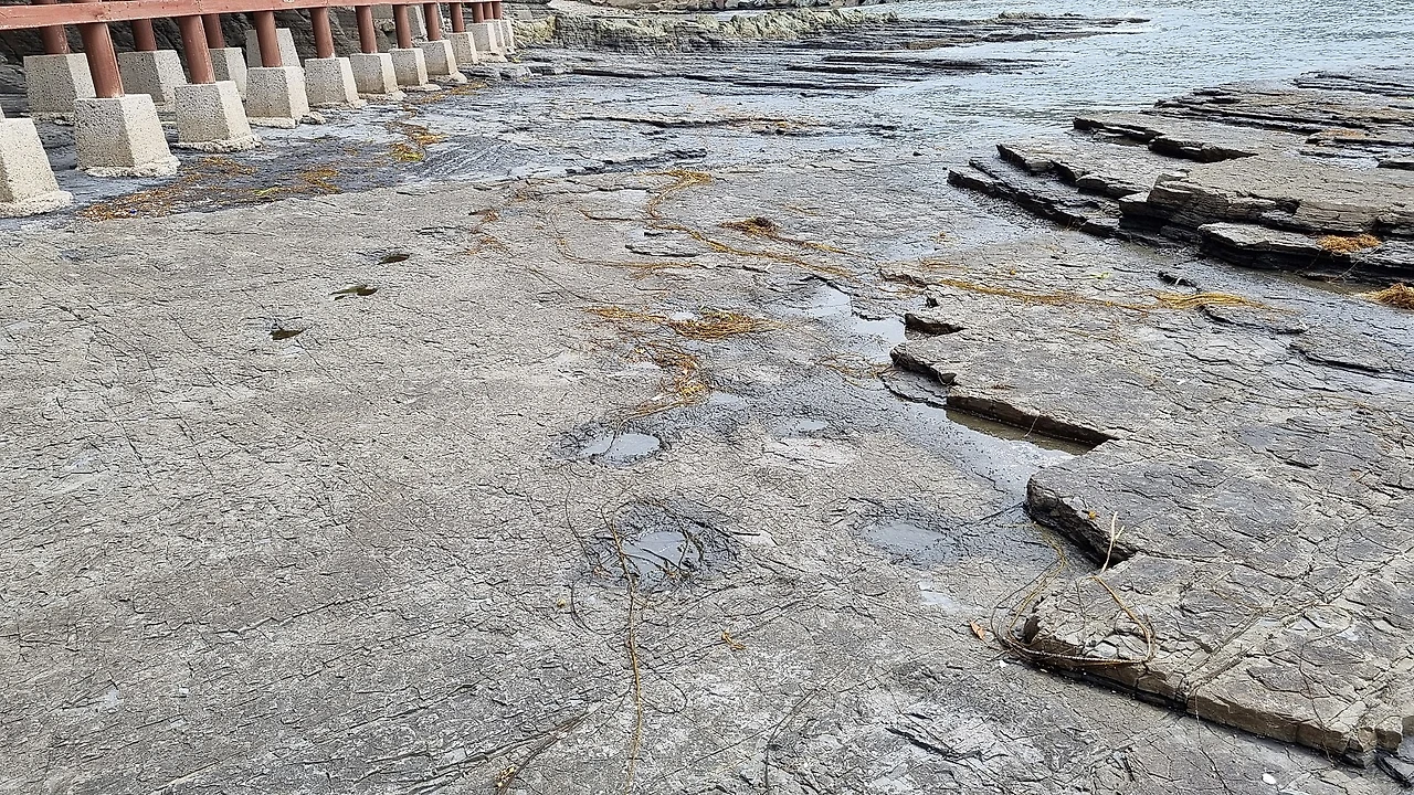 20220530_102336.jpg?type=w1600