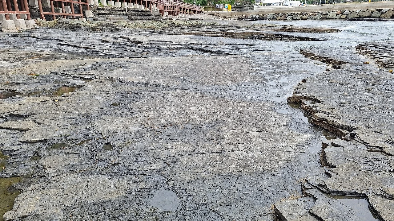 20220530_110815.jpg?type=w1600