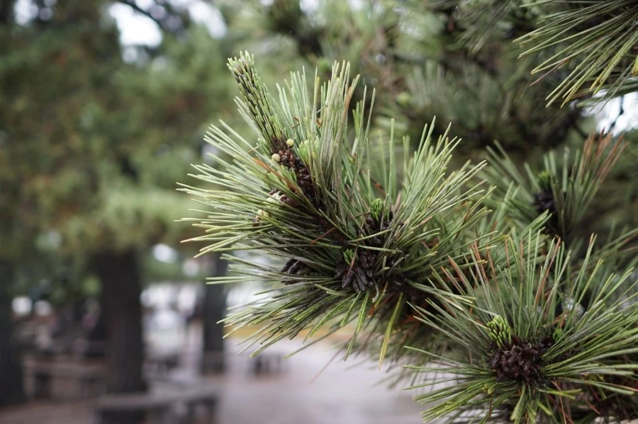 19241692372_7637da77c0_k.jpg?type=w1