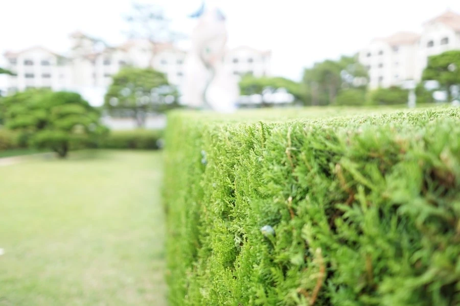 19251232821_c42545db44_k.jpg?type=w1