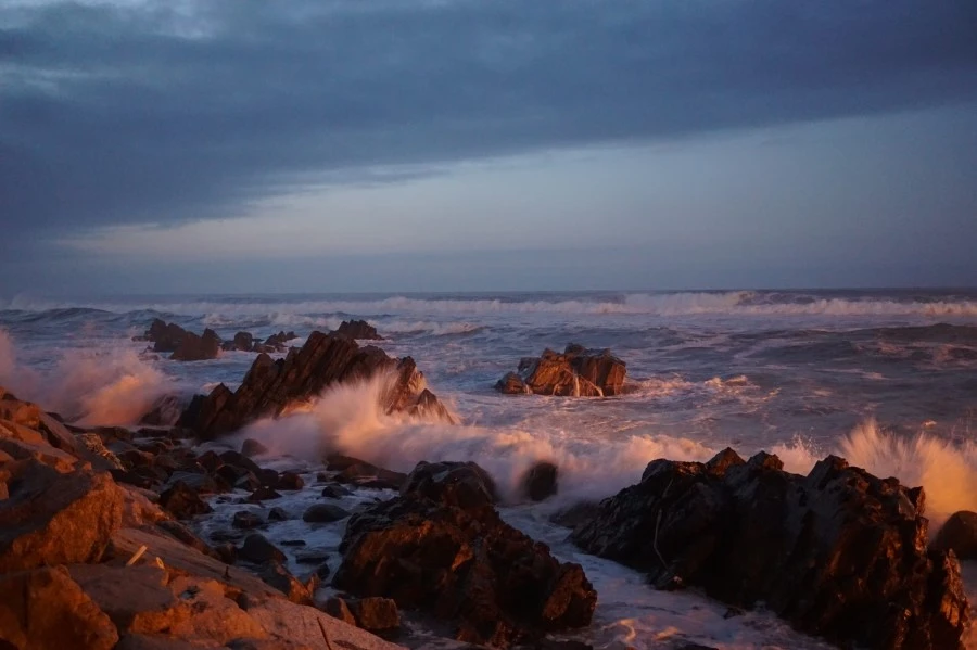 19060930309_580bc381ed_k.jpg?type=w1