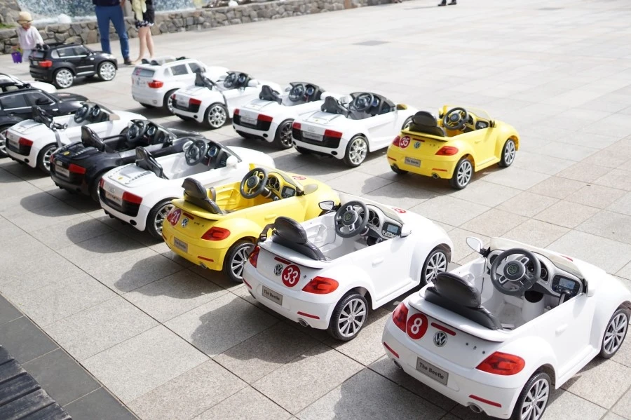 19061051609_fe6481ad9d_k.jpg?type=w1