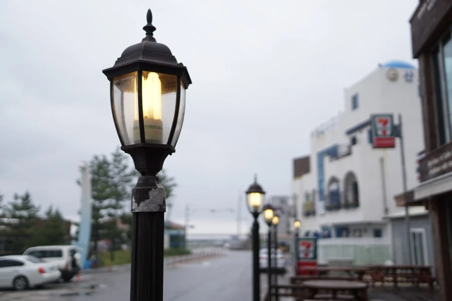 19060210988_36c7d5698f_k.jpg?type=w1