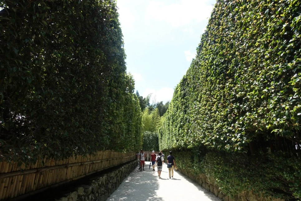 LRG_DSC01707.JPG?type=w966