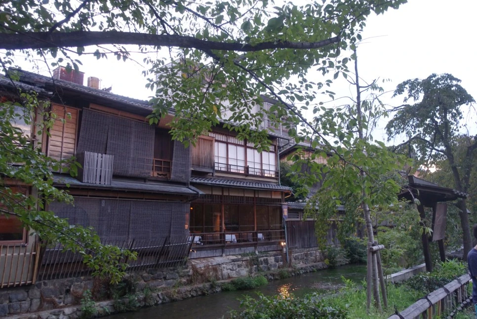 LRG_DSC01774.JPG?type=w966