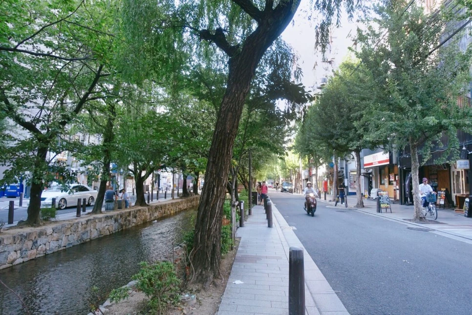 IMG_2846.jpg?type=w966