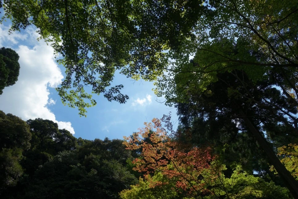 LRG_DSC01713.JPG?type=w966