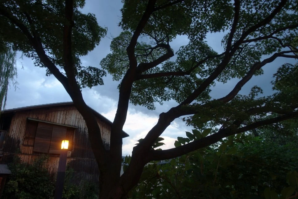 LRG_DSC01780.JPG?type=w966