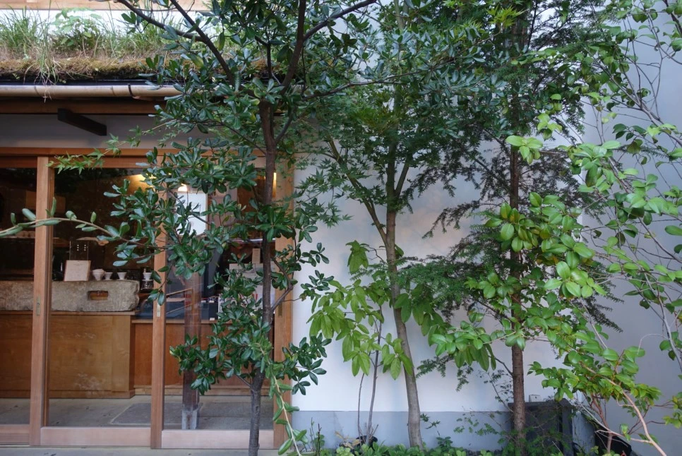 LRG_DSC01688.JPG?type=w966