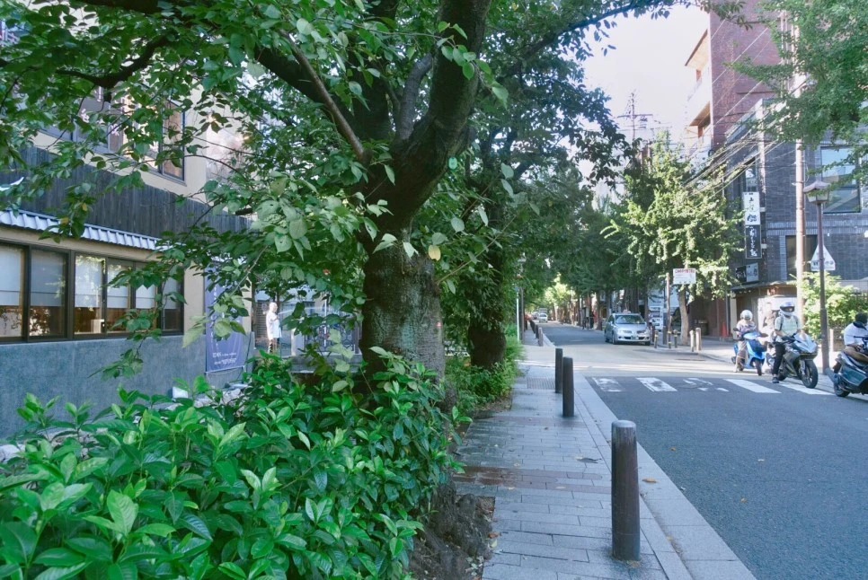 IMG_2844.jpg?type=w966