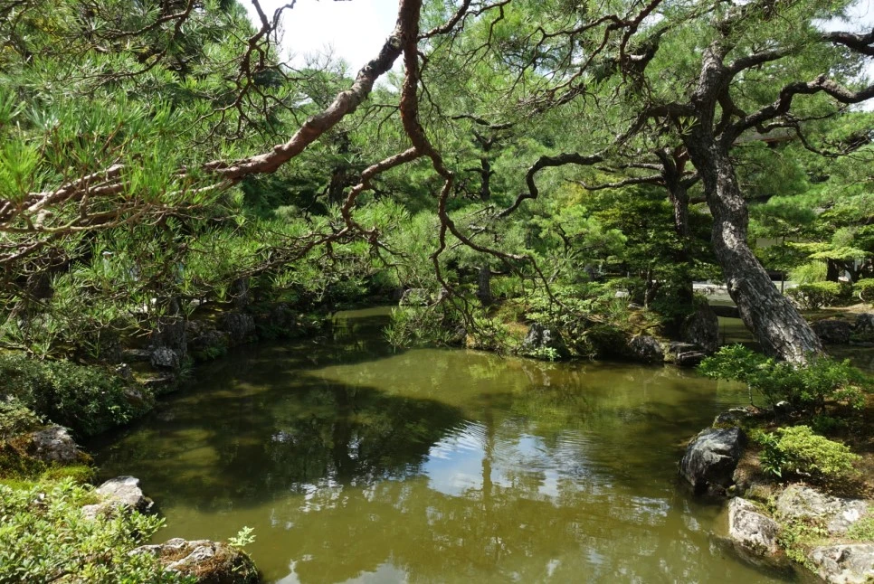 LRG_DSC01711.JPG?type=w966