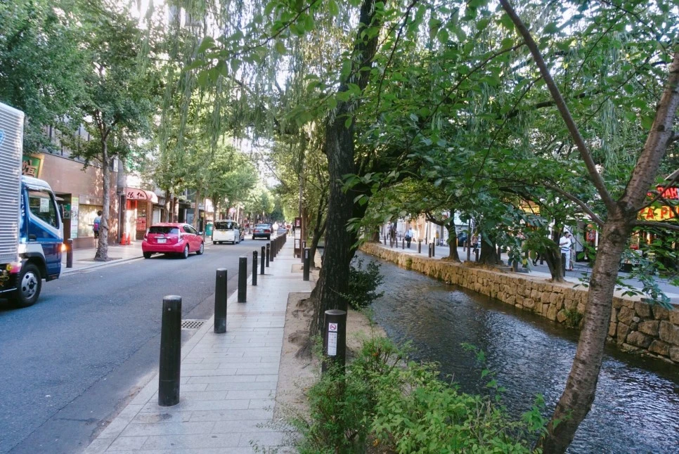 IMG_2847.jpg?type=w966