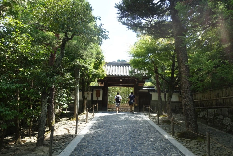 LRG_DSC01706.JPG?type=w966