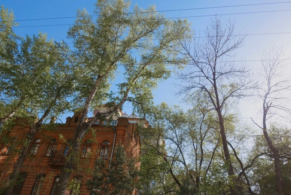 KakaoTalk_Photo_2019-07-27-22-48-04.jpeg?type=w1