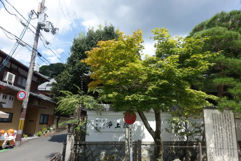 LRG_DSC01705.JPG?type=w966