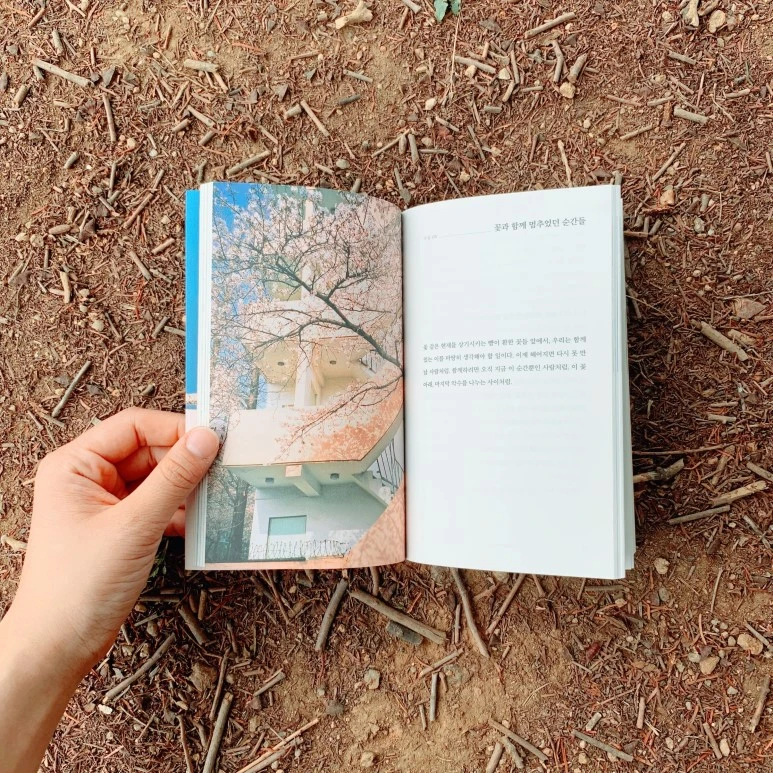 SE-34e345d1-b8b3-4d4a-8256-7bbff188b8b6.jpg?type=w773