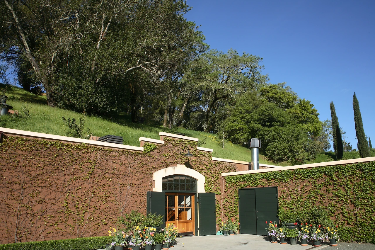 5월 8일 앞면 스태글린 살루스 샤도네이.jpg