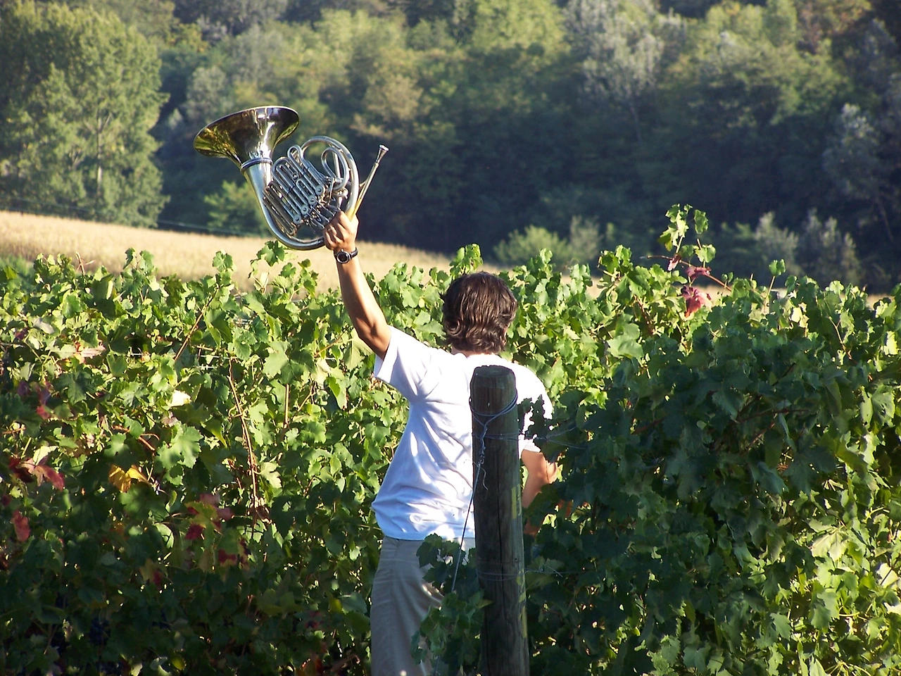 [길진] 바바 빈야드 연주회.JPG