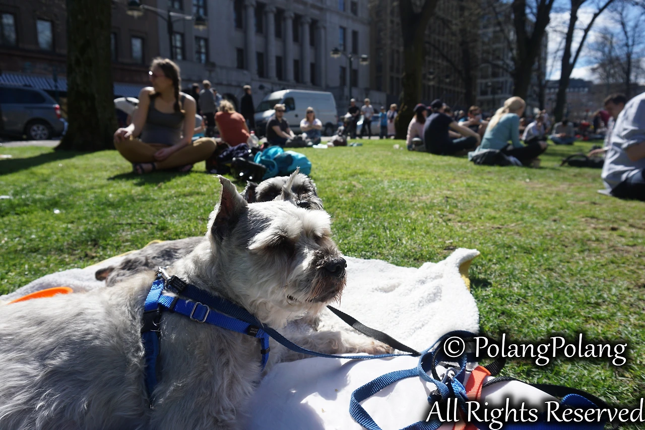 폴랑폴랑 동물행동심리 (5).JPG