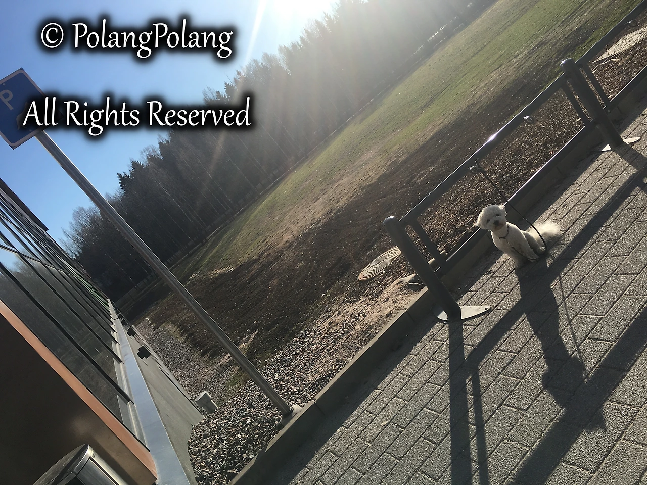 폴랑폴랑 동물행동심리 (13).JPG