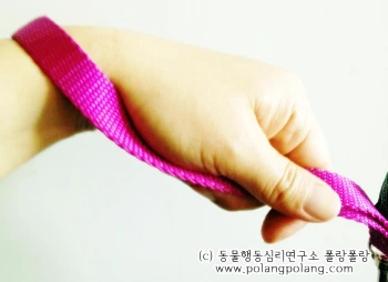 leash training explanationIMG_5413.JPG