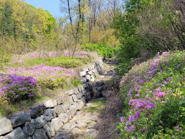 20210418_131447.jpg?type=w773