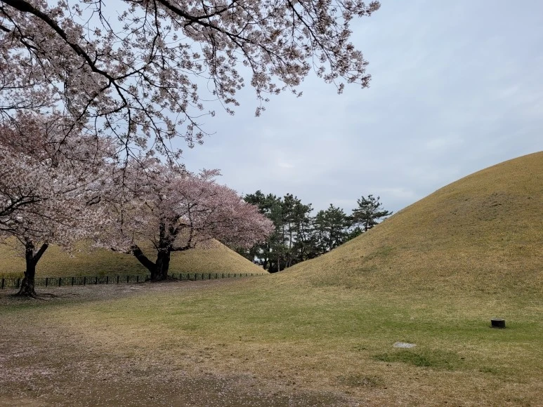 20210403_102809.jpg?type=w773