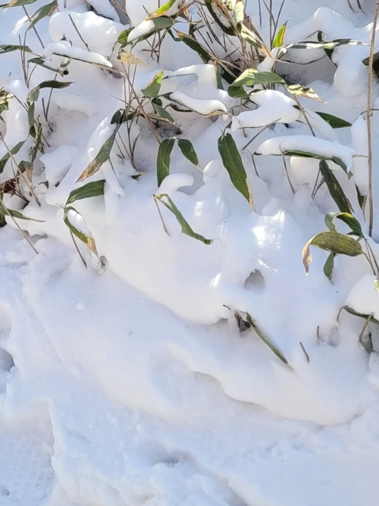 SE-5527d7bf-5118-477f-b6d3-bb924614823f.jpg?type=w773