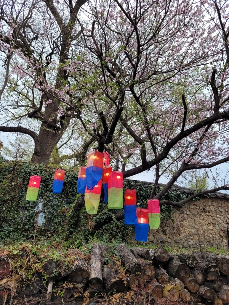 20210403_124818.jpg?type=w773