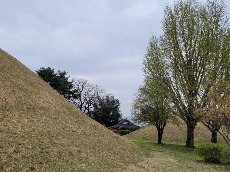 20210403_103418.jpg?type=w773